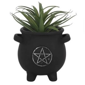 Pentgram plant pot
